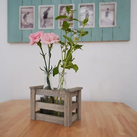 Duenenhus Borkum Apartment Room photo
